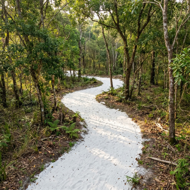 Paisagismo com pedras